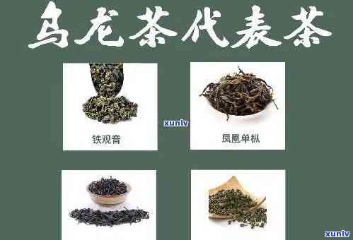 中国的名茶有哪几种？了解中国茶叶文化的重要一环