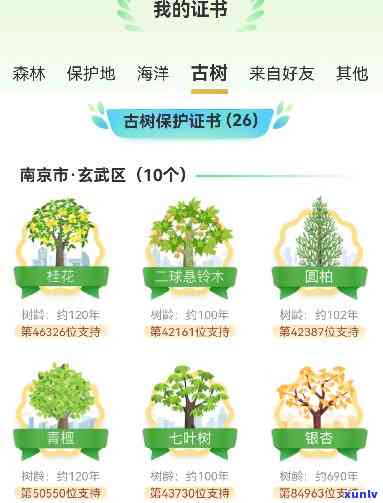 古树保护等级有几级的，揭秘古树保护等级体系：从一级到五级的分类与标准