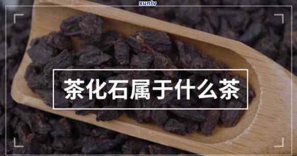 白牡丹茶产地价格全揭秘：多少钱一斤？