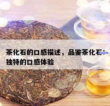 茶化石口感怎么样？探讨其好喝程度与评价