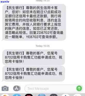 民生美元账单怎样还款？详细步骤解析