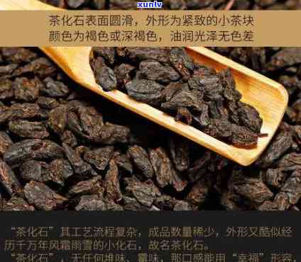 探索糯香茶化石口感：特点、作用与功效全揭秘