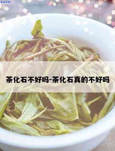 茶化石口感怎么样好喝不好喝，《品鉴茶化石：口感独特，好喝程度如何？》