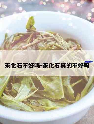 什么的茶化石好-什么的茶化石好一点