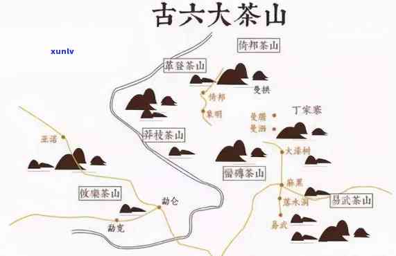 弯古树茶地图：探索其所在茶山及百科全解