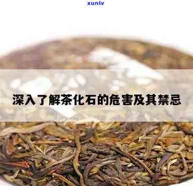 什么人不能喝茶化石茶叶？关键人群解析