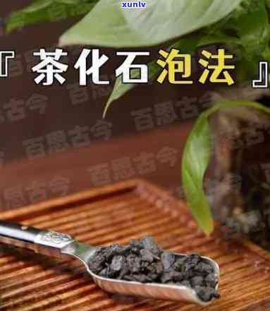 云南普洱茶七子饼茶生产厂家：优质原料、精工艺与信誉共存的秘密