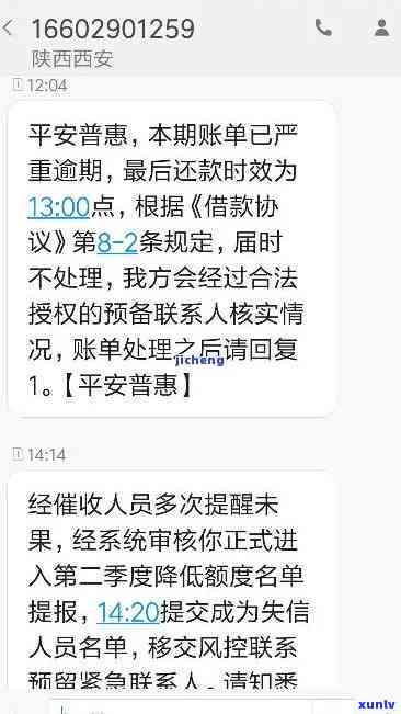 云南普洱茶七子饼茶生产厂家：优质原料、精工艺与信誉共存的秘密