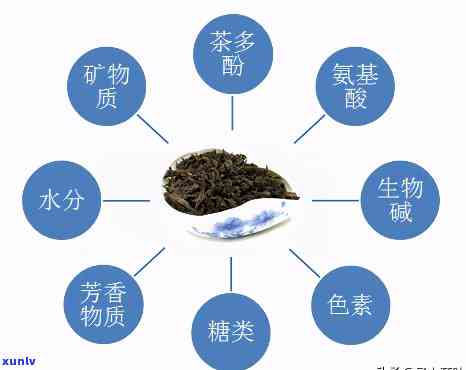 茶化石配料表，揭秘茶化石的神秘配方！——茶化石配料表大公开