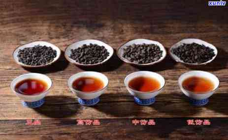 茶化石是什么茶？价格多少？全面解析