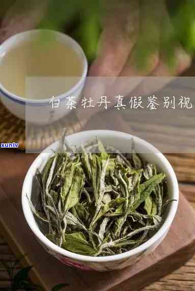 中茶白牡丹润露系列：怎样辨别真伪？