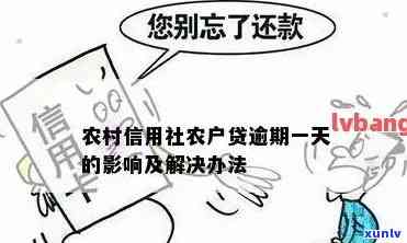 高糯化的翡翠价格是多少？翡翠有收藏价值吗？