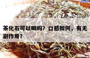 茶化石对身体有害吗？知乎与视频探讨其影响