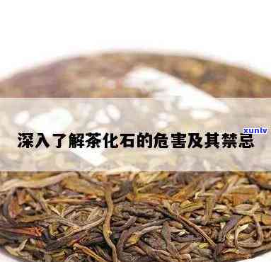 茶化石对人体有害吗-茶化石对人体有害吗知乎