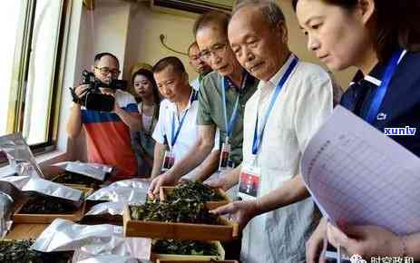 武夷山白牡丹茶价格表和图片，【高清图】2023年最新武夷山白牡丹茶叶价格表及购买指南