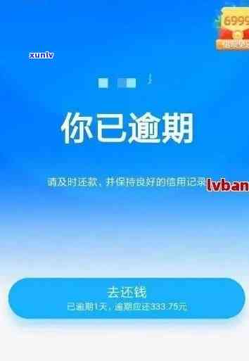 上海花呗借呗逾期怎么办，怎样解决上海地区花呗、借呗逾期疑问？