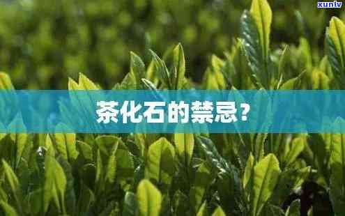 茶化石禁忌人群，茶化石禁忌人群：哪些人不适合饮用？