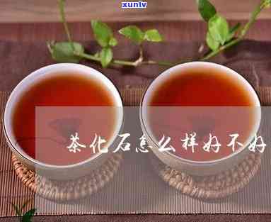 茶化石什么人不能喝-茶化石什么人不能喝呢