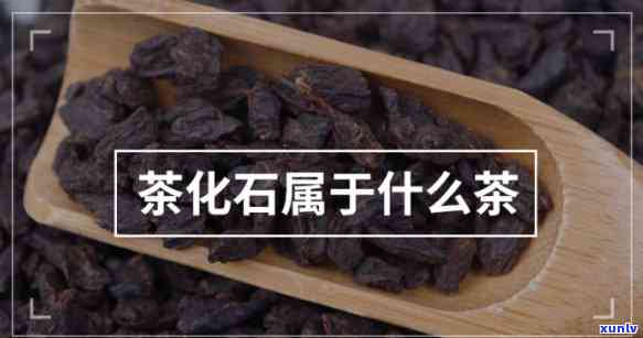 茶化石什么牌子的好-茶化石什么牌子的好一点