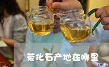 茶化石哪里产的用，寻找品质：揭秘茶化石产地排名