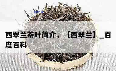 冰岛古树茶2019价格行情：全面解析与查询-冰岛古树茶价格多少钱