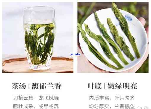 西翠兰什么档次茶叶送人合适吗，西翠兰：适合送人的高档次茶叶选择？