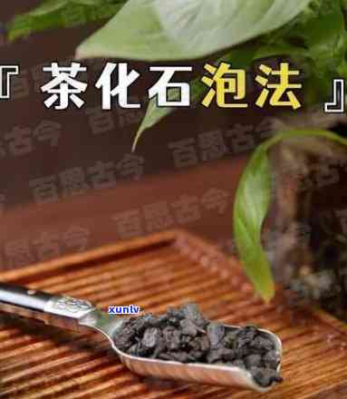 茶化石冲泡用量：如何确定合适的茶叶数量？