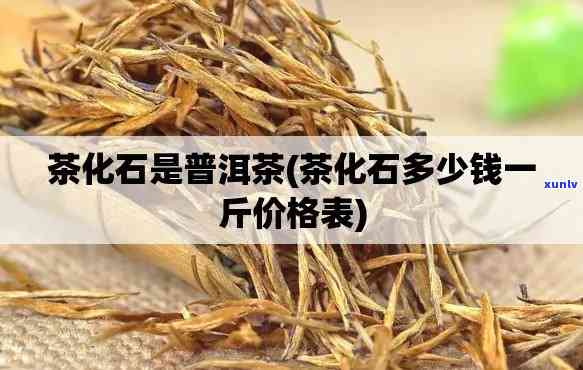 茶化石价格查询：了解最新市场价格与价值