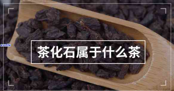 老树茶化石是什么茶-老树茶化石是什么茶叶