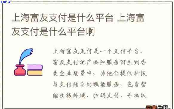 上海富友支付服务是什么借款平台，揭秘上海富友支付服务：是不是为借款平台？