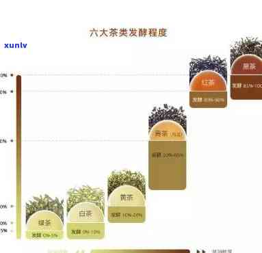 茶抗氧化成分及其作用：揭示其种类与功效