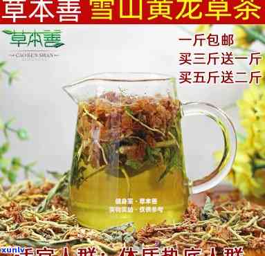 雪山黄龙草根茶多少钱一斤，探寻神秘饮品：雪山黄龙草根茶市场价格解析