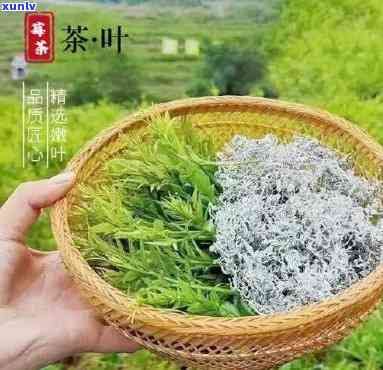 湖南永顺莓茶的价格多少钱一克，湖南永顺莓茶价格多少？一克要多少钱？