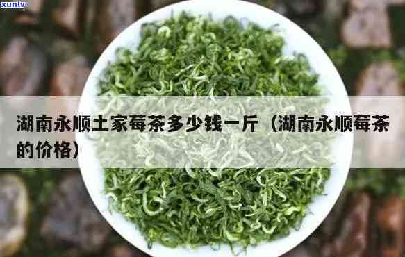 湖南永顺莓茶的价格-湖南永顺莓茶的价格表