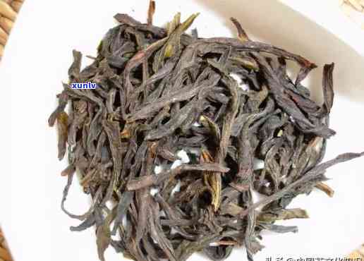 马背沱茶属于什么茶类，探秘茶叶世界：了解马背沱茶的类别与特点