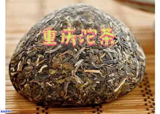 重庆沱茶是什么茶种，《揭秘重庆沱茶：你不知道的茶种知识》