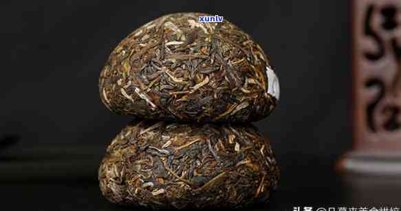 重庆沱茶是什么茶种，《揭秘重庆沱茶：你不知道的茶种知识》