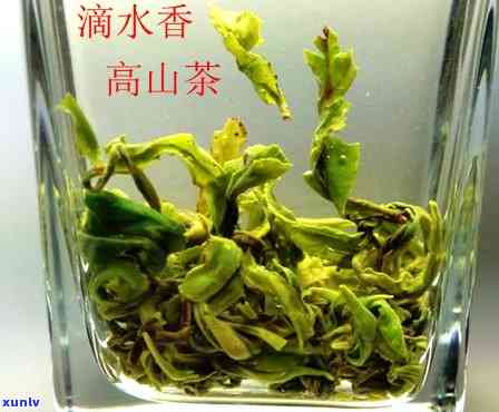 滴水香是什么茶价格-滴水香茶叶怎么样