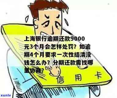 上海银行逾期还款9000元3个月的结果及处罚是什么？