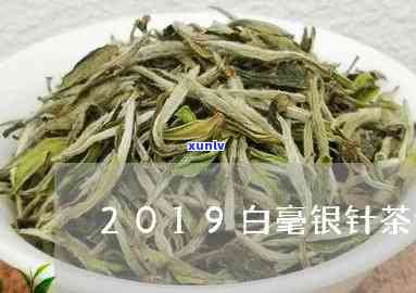 白毫银针茶价格表，白毫银针茶价格一览表：品质与价值的完美结合