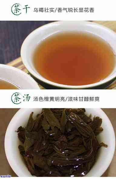 海堤三坑两涧茶价格-海堤三坑两涧茶150克