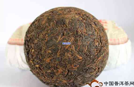 龙园号精品野生沱茶-龙园号沱茶怎么样