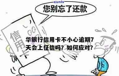 普洱茶无香，品味有待提升？试试这些 *** ！