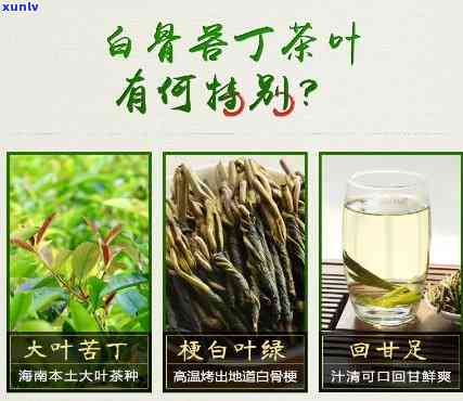 海南白骨苦丁茶价格-海南苦丁茶的功效与作用价格