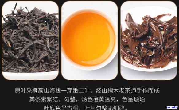 武夷山莱弗茗茶价格多少，武夷山莱弗茗茶价格一览，让你轻松了解其售价！