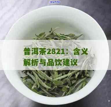 中茶2821的来历-中茶成立于哪一年