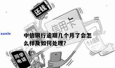 中信逾期七个月了，怎样解决？