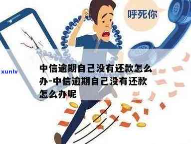 汕尾普洱茶招商：如何加盟 *** ，成功开展陈升生意