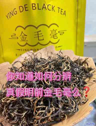 金毛毫的功效与禁忌全解析：了解其茶效及图片