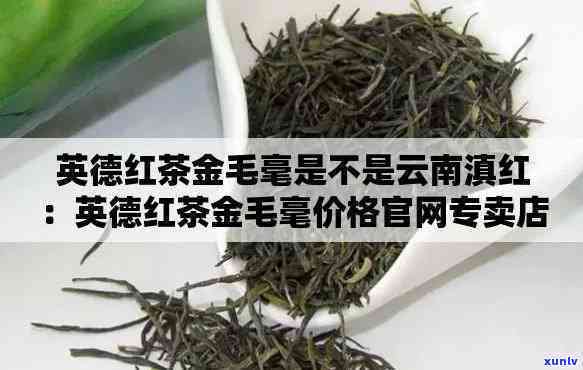 金毛毫英德红茶价格一斤：口感与市场价全解析